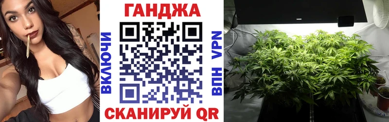 где найти   mega ссылка  Конопля сатива  Аргун 